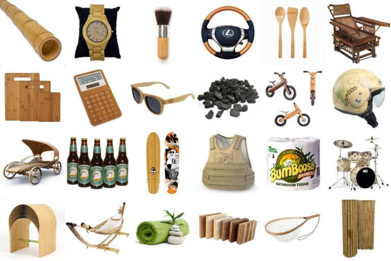 1,000 uses for Bamboo Zone 9 Bamboo