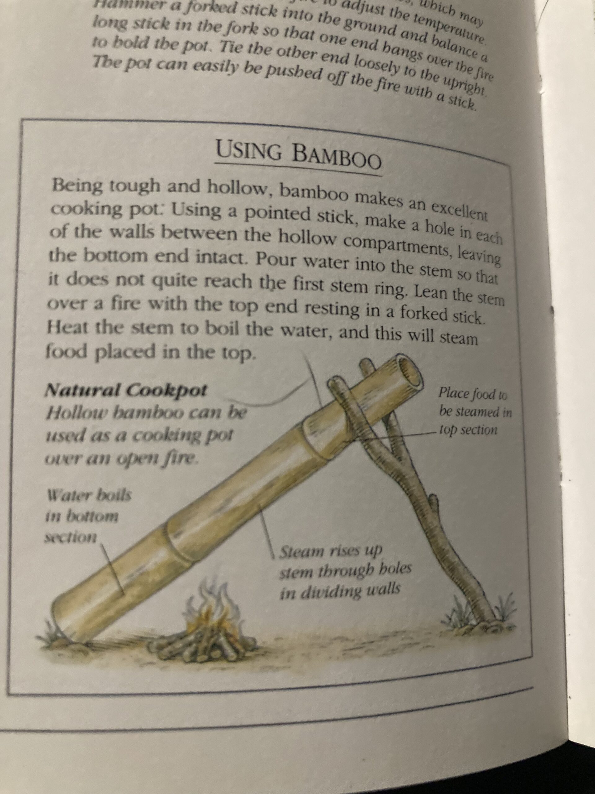 bamboo-1,000-uses