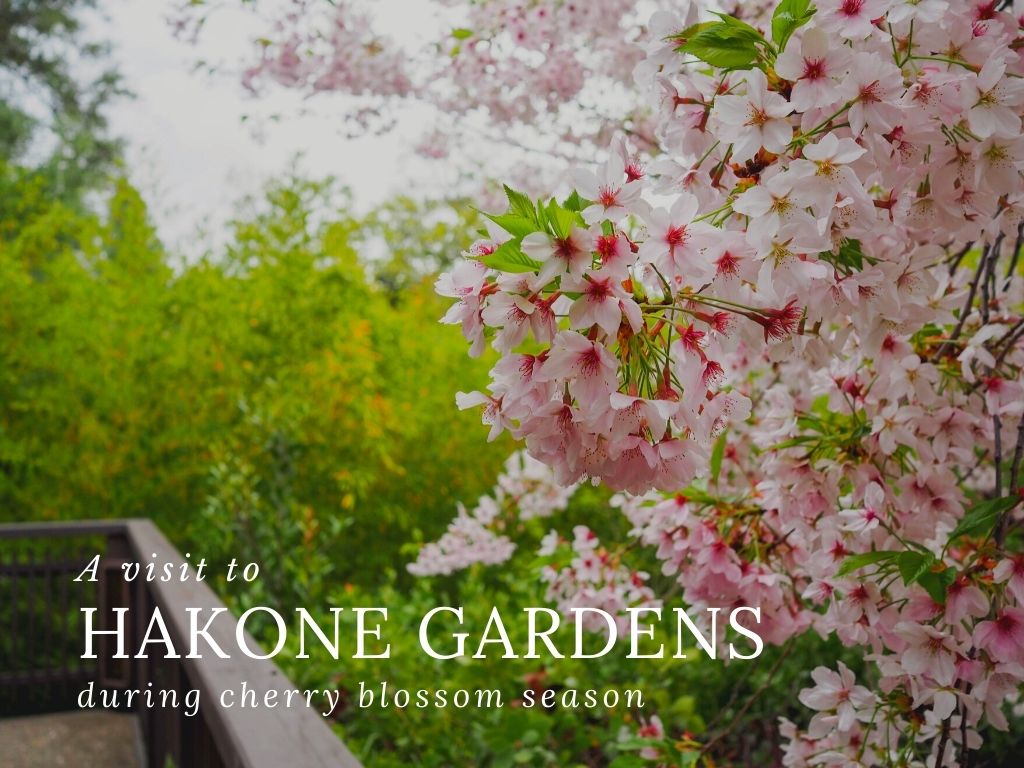 hakone gardens california